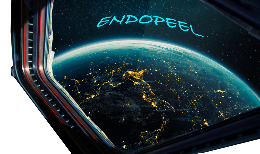 shuttle space index endopeel for MD